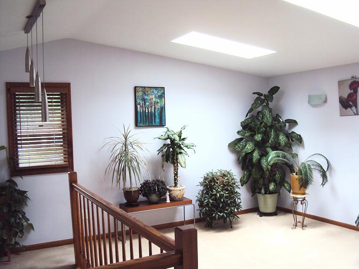 Family room.JPG